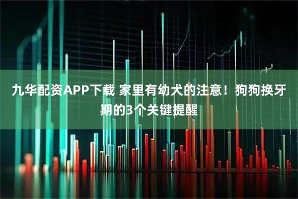 九华配资APP下载 家里有幼犬的注意！狗狗换牙期的3个关键提醒