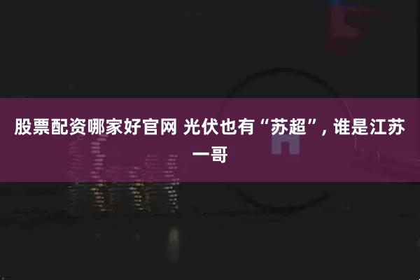 股票配资哪家好官网 光伏也有“苏超”, 谁是江苏一哥